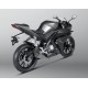 SISTEMA RACING LINE CARBONO YZF-R125
