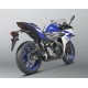 SILENCIOSO CARBONO YZF-R25/YZF-R3