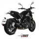Pot d'échappement Mivv Oval Titanium Homologué Euro4