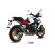 ESCAPE OVAL CARBONO MIVV HOMOLOGADO