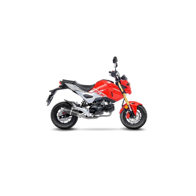 LEOVINCE CARBONE KIT COMPLET MSX 125 / GROM 17/20