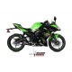 DELTA RACE EXHAUST APPROVED MIVV Z 650 2017-