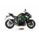 Escape Delta Race Acero Inoxidable Mivv Homologado Euro 4