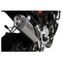 Silencieux SPS acier / carbone F 850 GS 2019