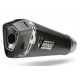 Silencieux DELTA RACE carbone