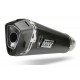 Silencieux DELTA RACE carbone