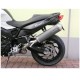 SILENCIOSO OVAL CARBONO SPARK BMW F 800 R