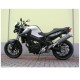 SILENCIOSO OVAL CARBONO SPARK BMW F 800 R