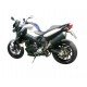 SILENCIOSO OVAL CARBONO SPARK BMW F 800 R