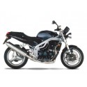 SPEED TRIPLE 955 02/04